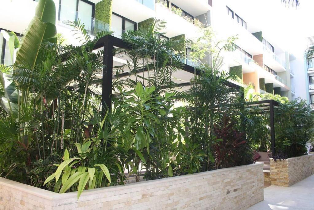 Apartment Your Exclusive In The - Amenities & Services For Free!!