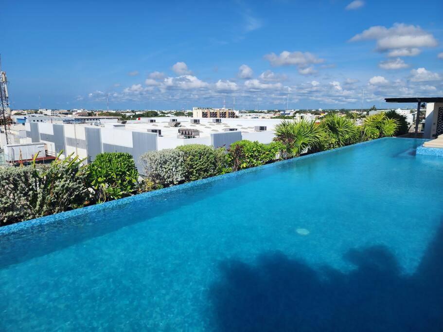 Stunning 1 Bdrm Gym-pool 10 Min To The Beach & Quinta Av Apartment