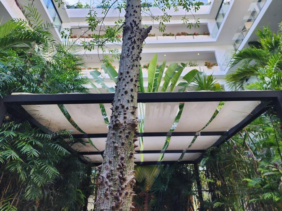 Stunning 1 Bdrm Gym-pool 10 Min To The Beach & Quinta Av Apartment