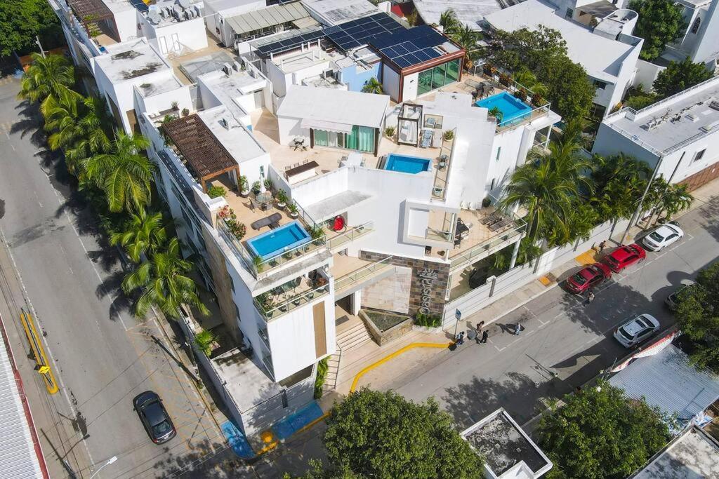 Oasis 12 Căn hộ *