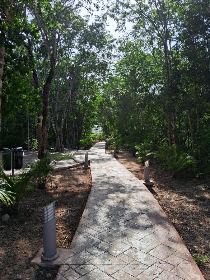 Aparment/5 Pax/ Jardines De Mayakoba/pool/2 Br