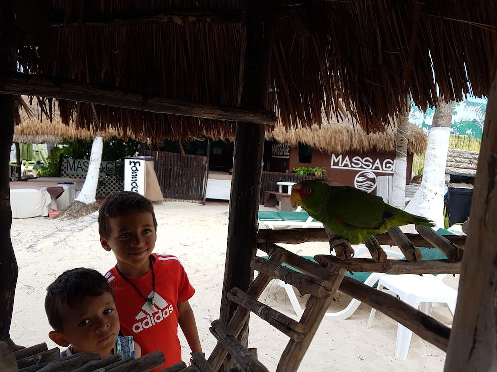 Costa Del Mar Hotel 4*
