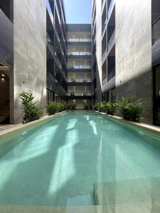 Apartment Luxury Loft With Rooftop Pool & Prime Location By Solmar