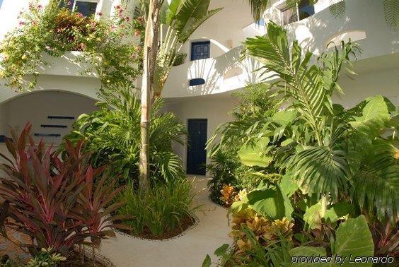 Aqualuna Boutique By Sunrise (adults Only) Hotel Playa del Carmen