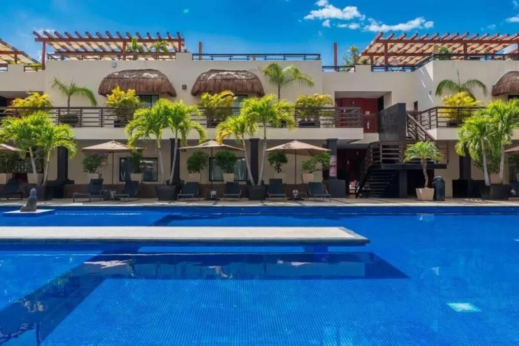 Coastal Serenity: Mangrove View Studio Apartment