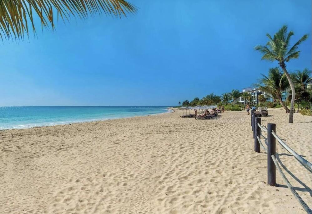 Căn hộ Mareazul *