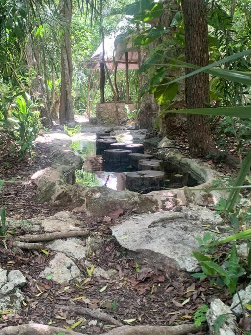 Casa De La Selva-jungle Getaway With Cenotes Ferienhaus *