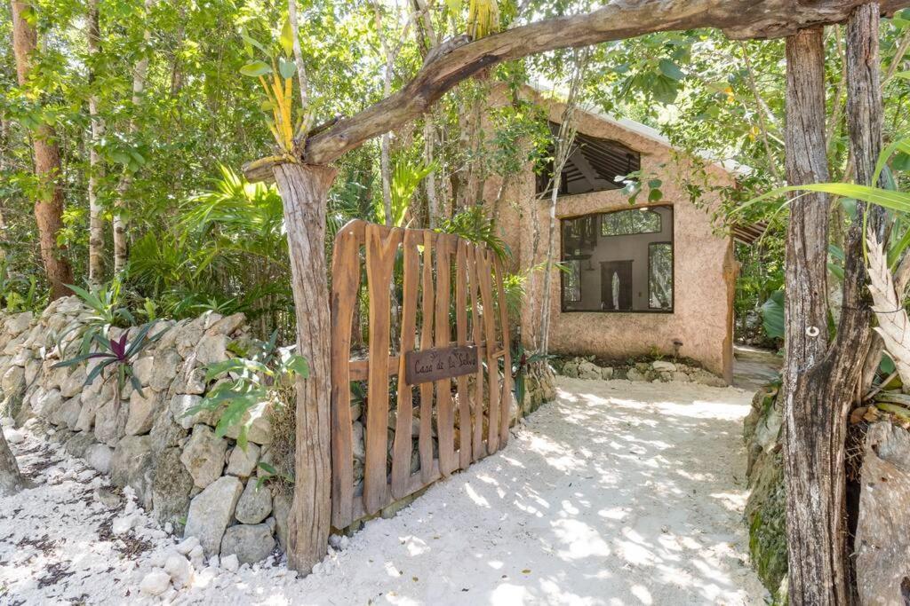 Ferienhaus Casa De La Selva-jungle Getaway With Cenotes