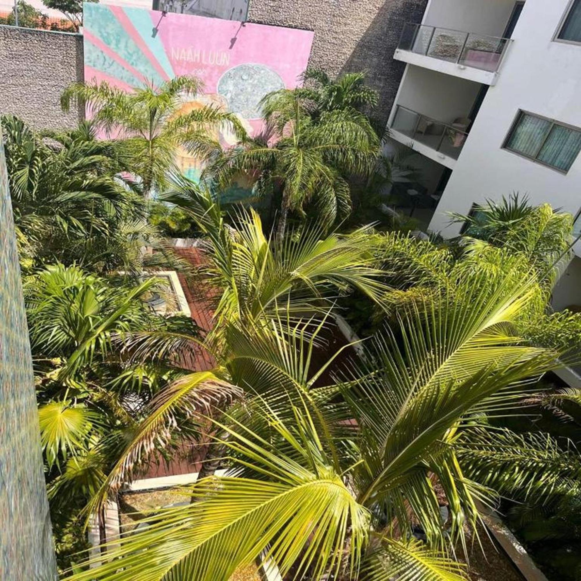 Khách sạn The Palm (adults Only) Playa del Carmen