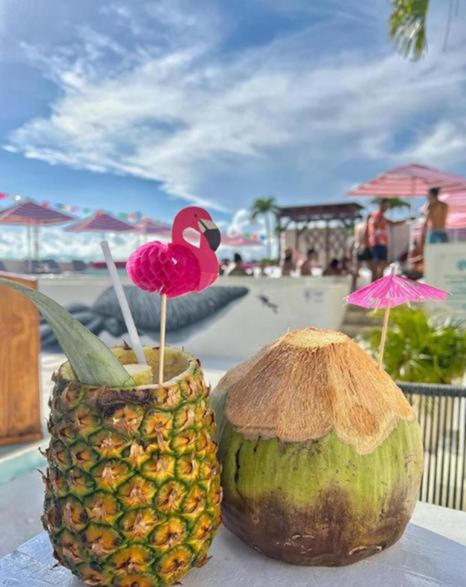 The Palm (adults Only) Khách sạn