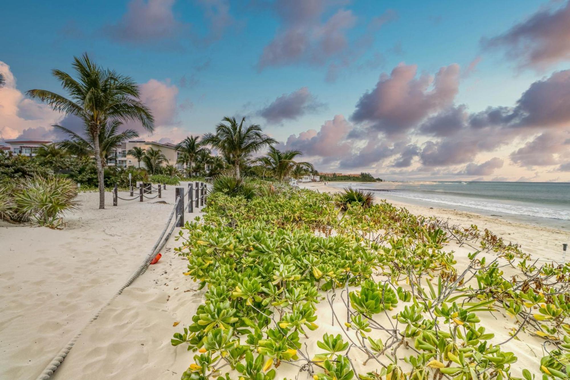 Căn hộ Casa Altamar Penthouse Oceanfront 123 Norte @ Mareazul Beachfront *