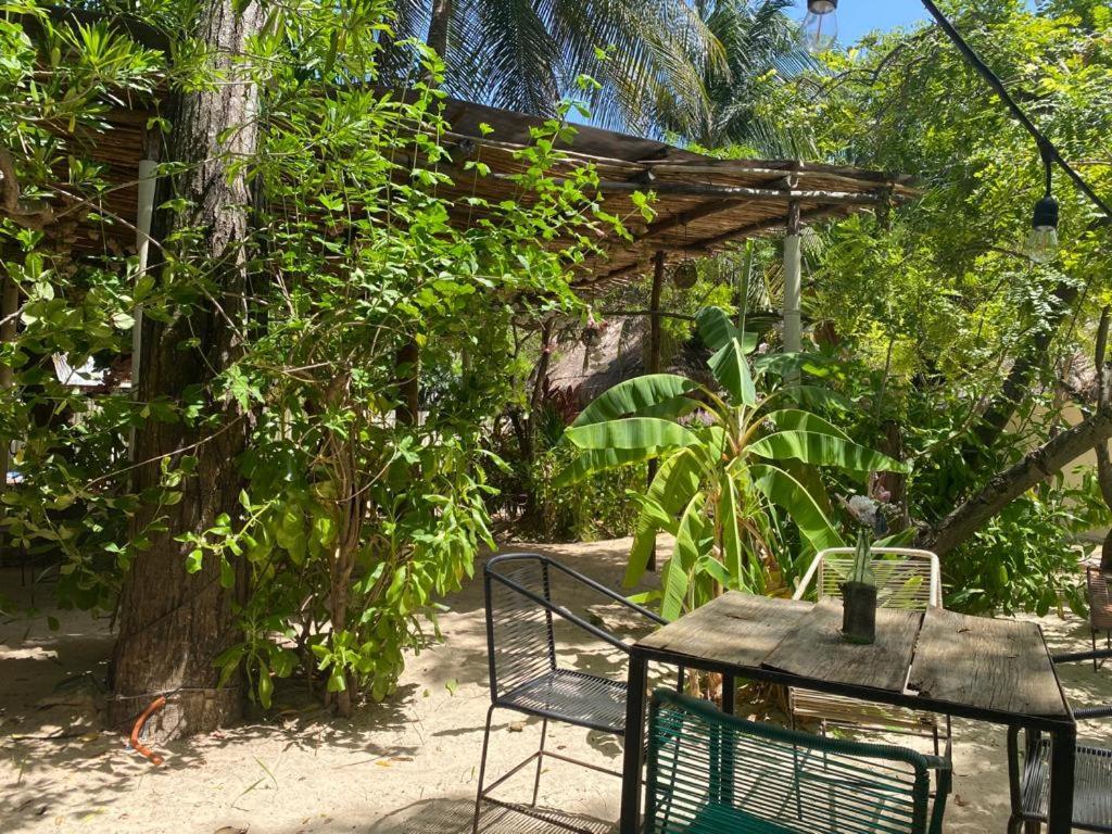 Nature (adults Only) 3*