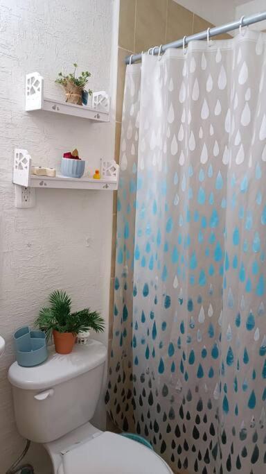 En Privada Xcacel Cerca De La Playa Apartamento
