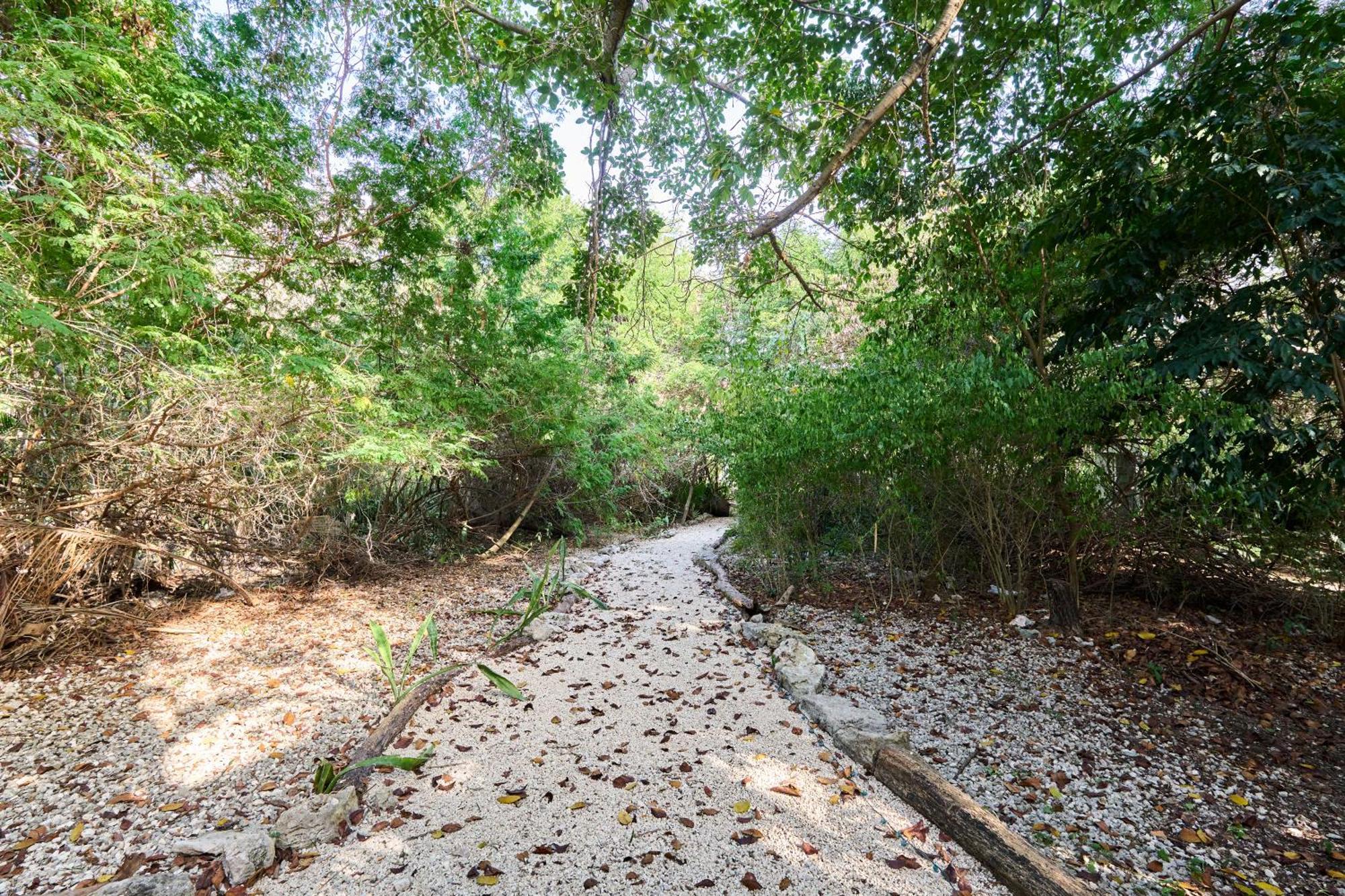 Spacious And Stylish Vacation For 8 With Private Pool And Large Terrace Holiday home Playa del Carmen