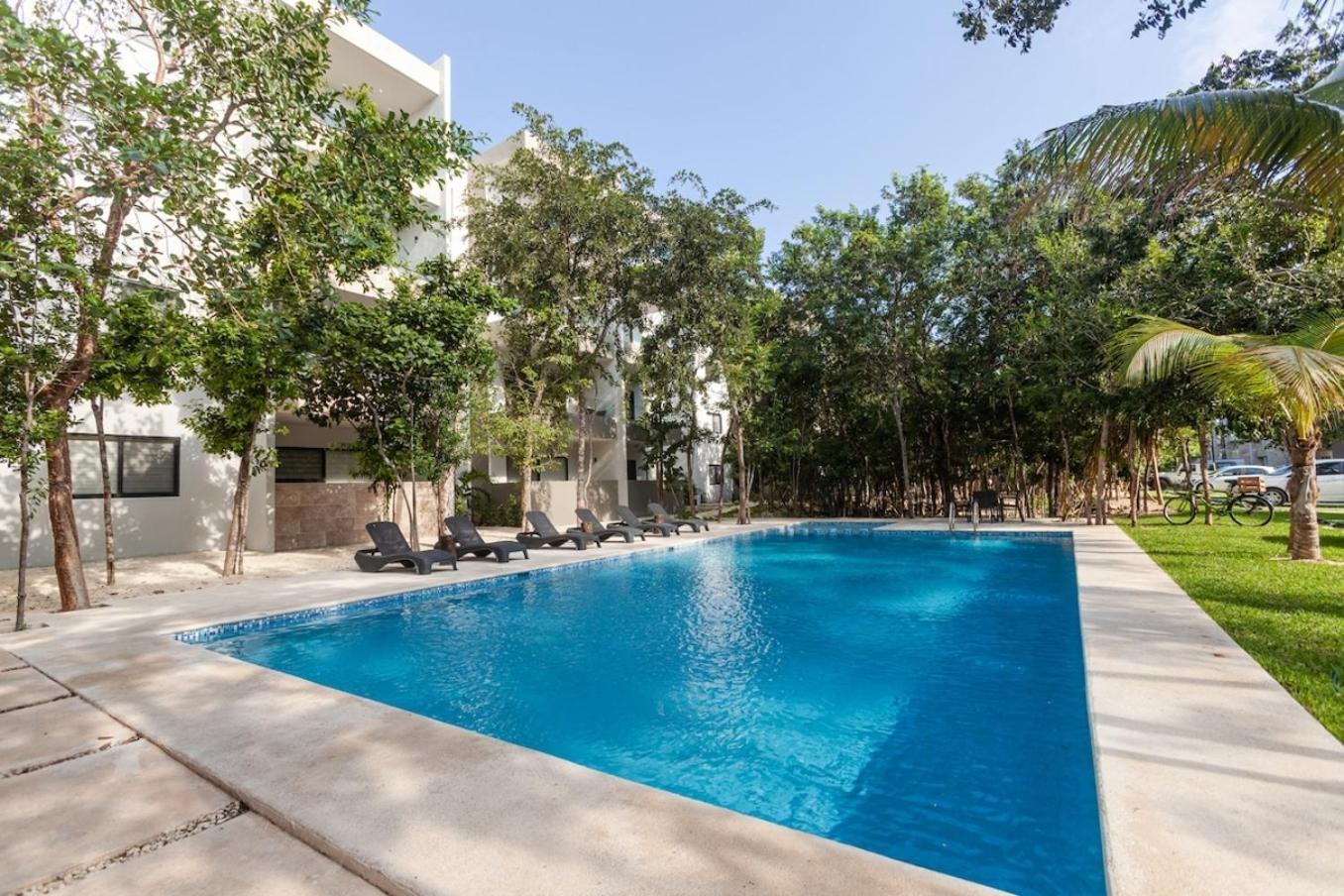 Omg! New Casa Tortuga10mincaribewifi 200mbgym Сasa de vacaciones
