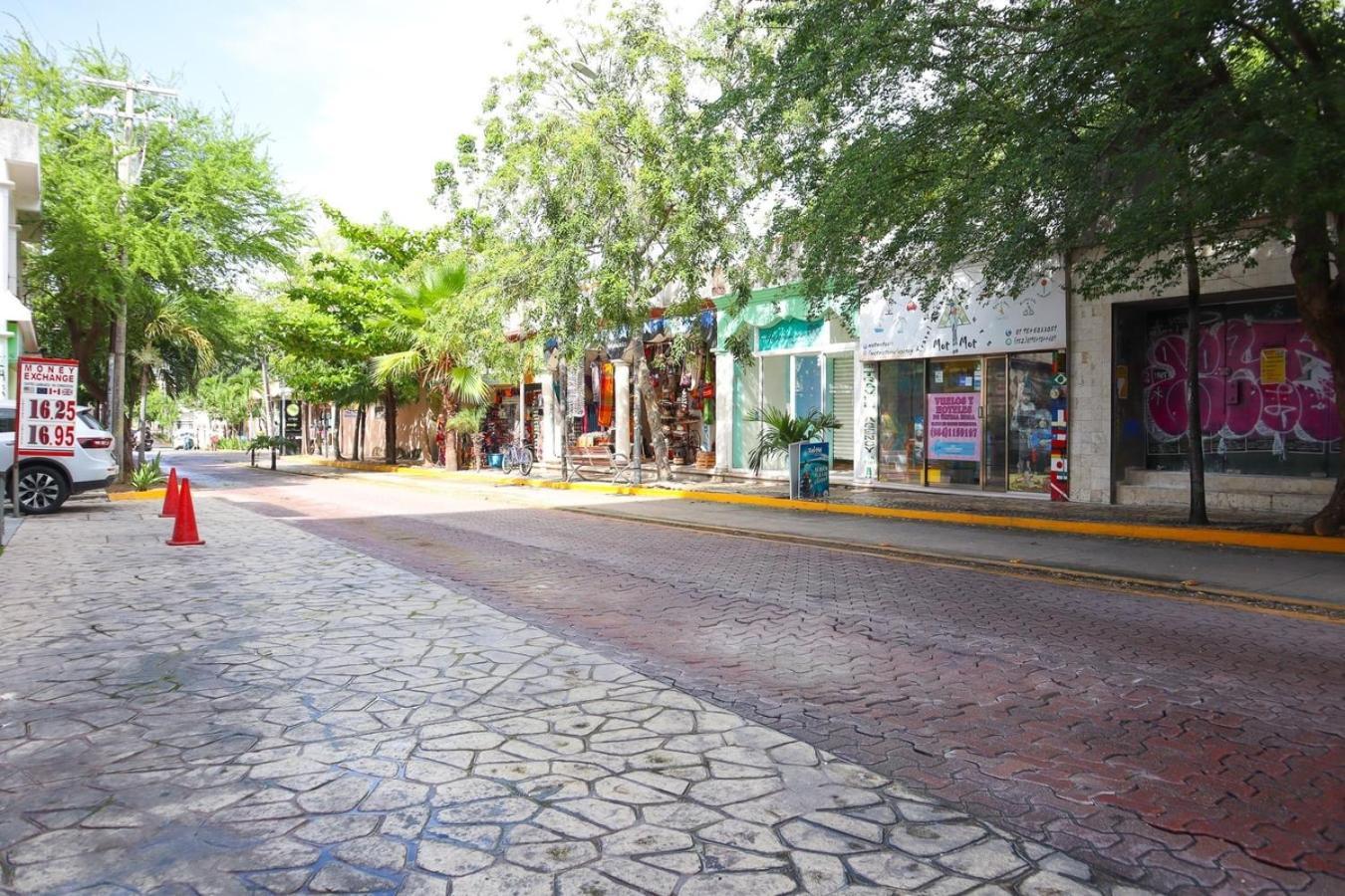 Spacious King Near & Quinta * Playa del Carmen