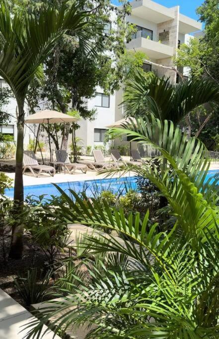Căn hộ Departamento Mi Valeria Linda Playa del Carmen