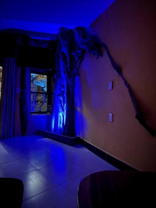 Apartment Jungle Meets Modern Cavern On 5th Ave *