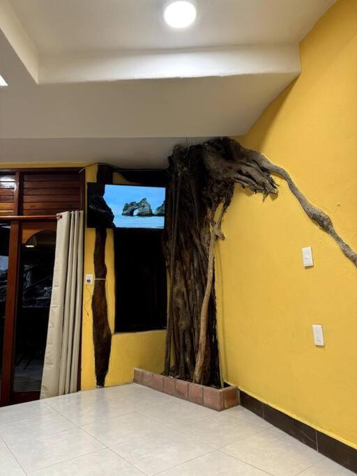 Apartment Jungle Meets Modern Cavern On 5th Ave