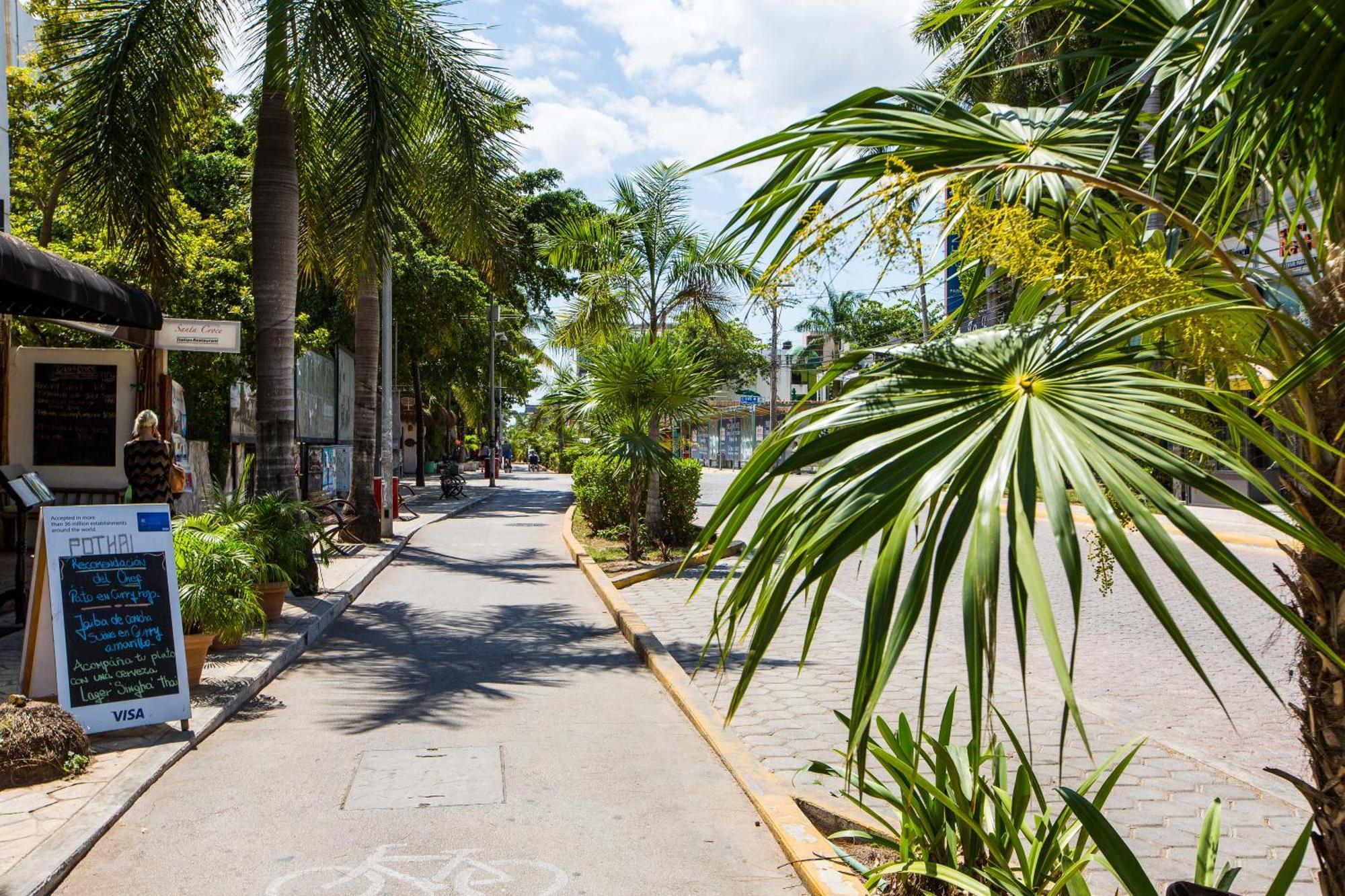 Apartment Best Penthouses&apartments In The Center Of Pdc!