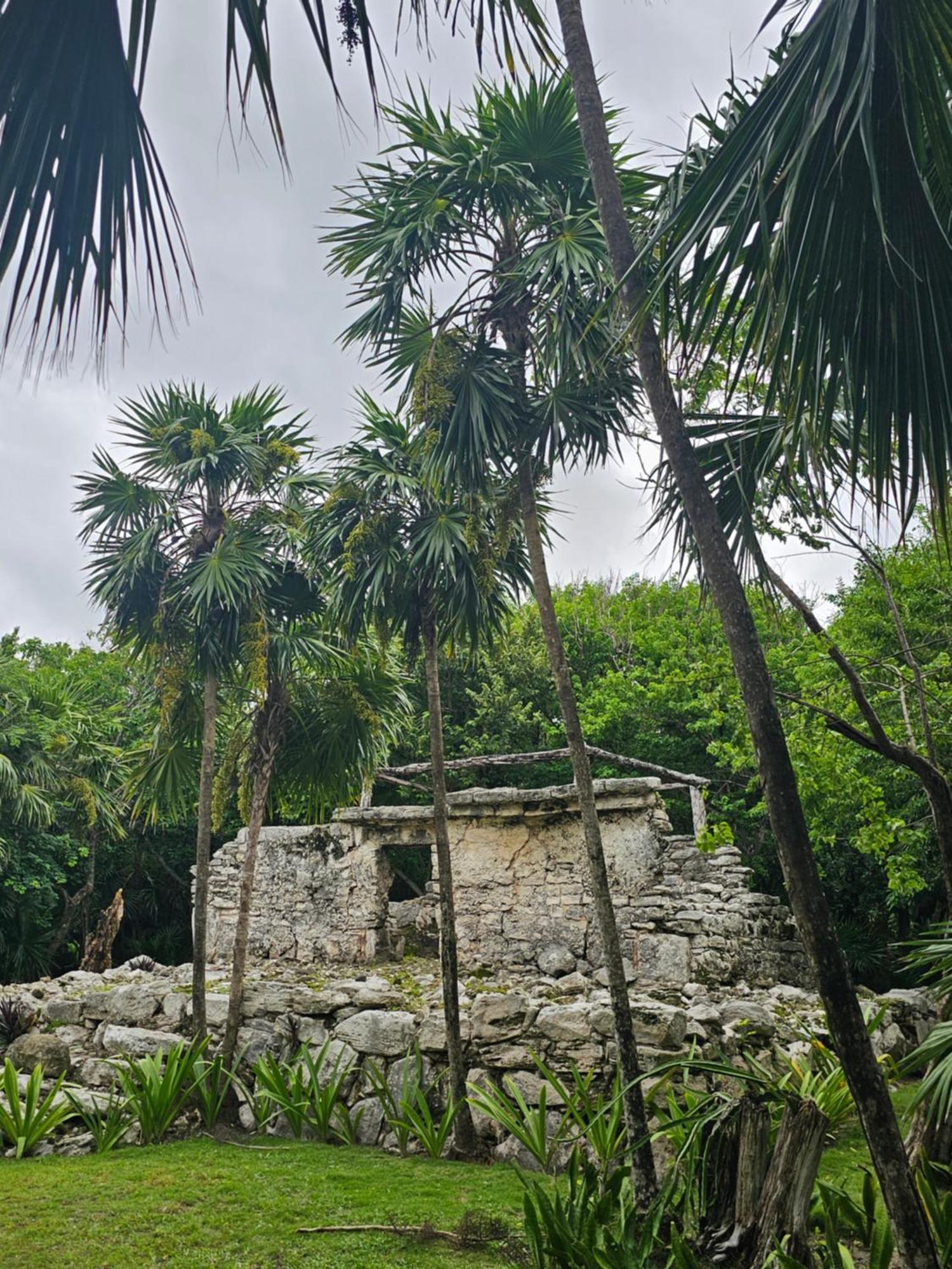 Casa Kuri Playa del Carmen