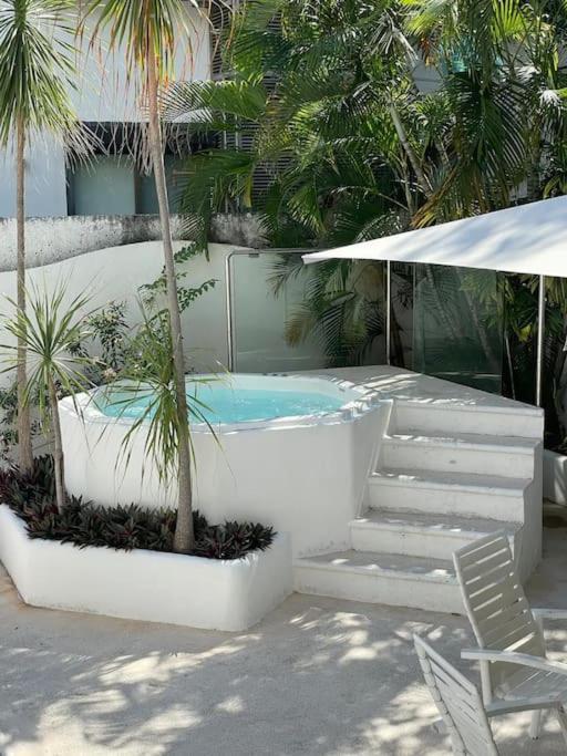 Apartment Amplias En Quinta Avenida Playa del Carmen