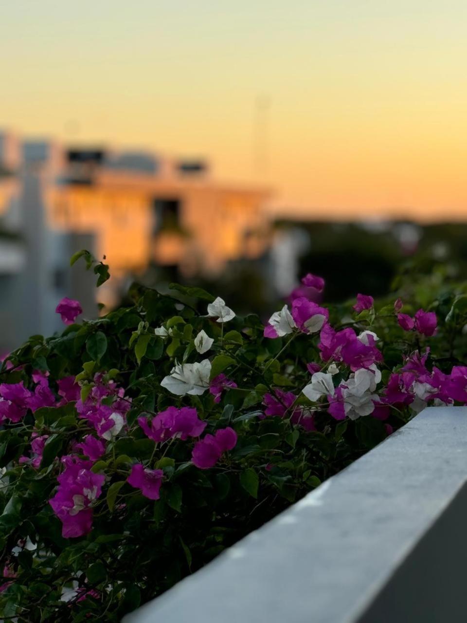 Departamento Mi Valeria Linda * Playa del Carmen