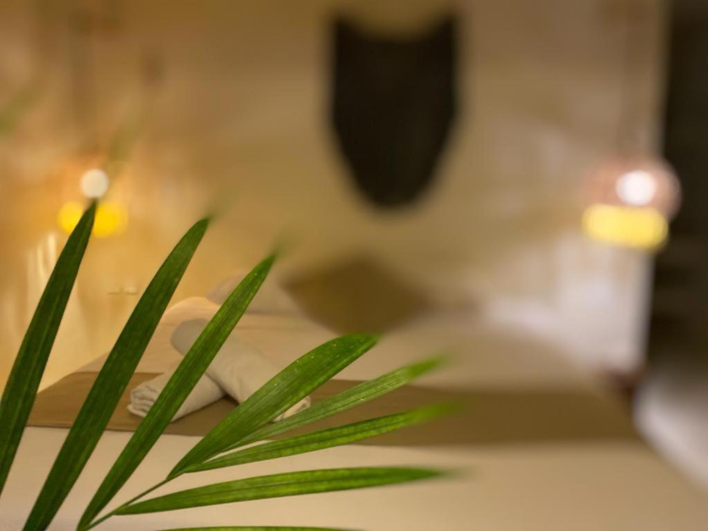 Hotel Nature (adults Only) 3*