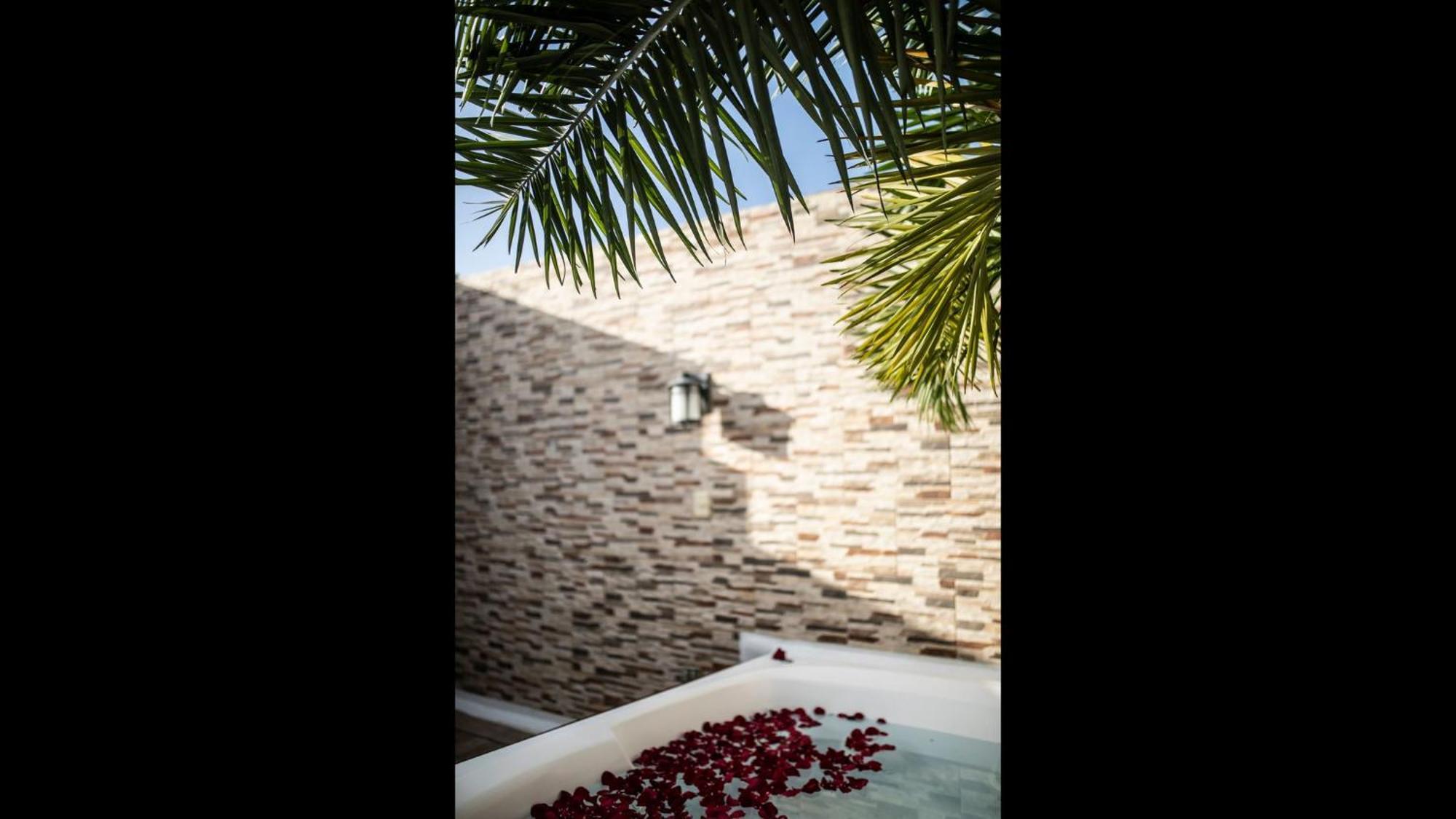 Penthouse At Mamitas Beach, Barbecue, Balcony, Sundeck, Jacuzzi Holiday home Playa del Carmen
