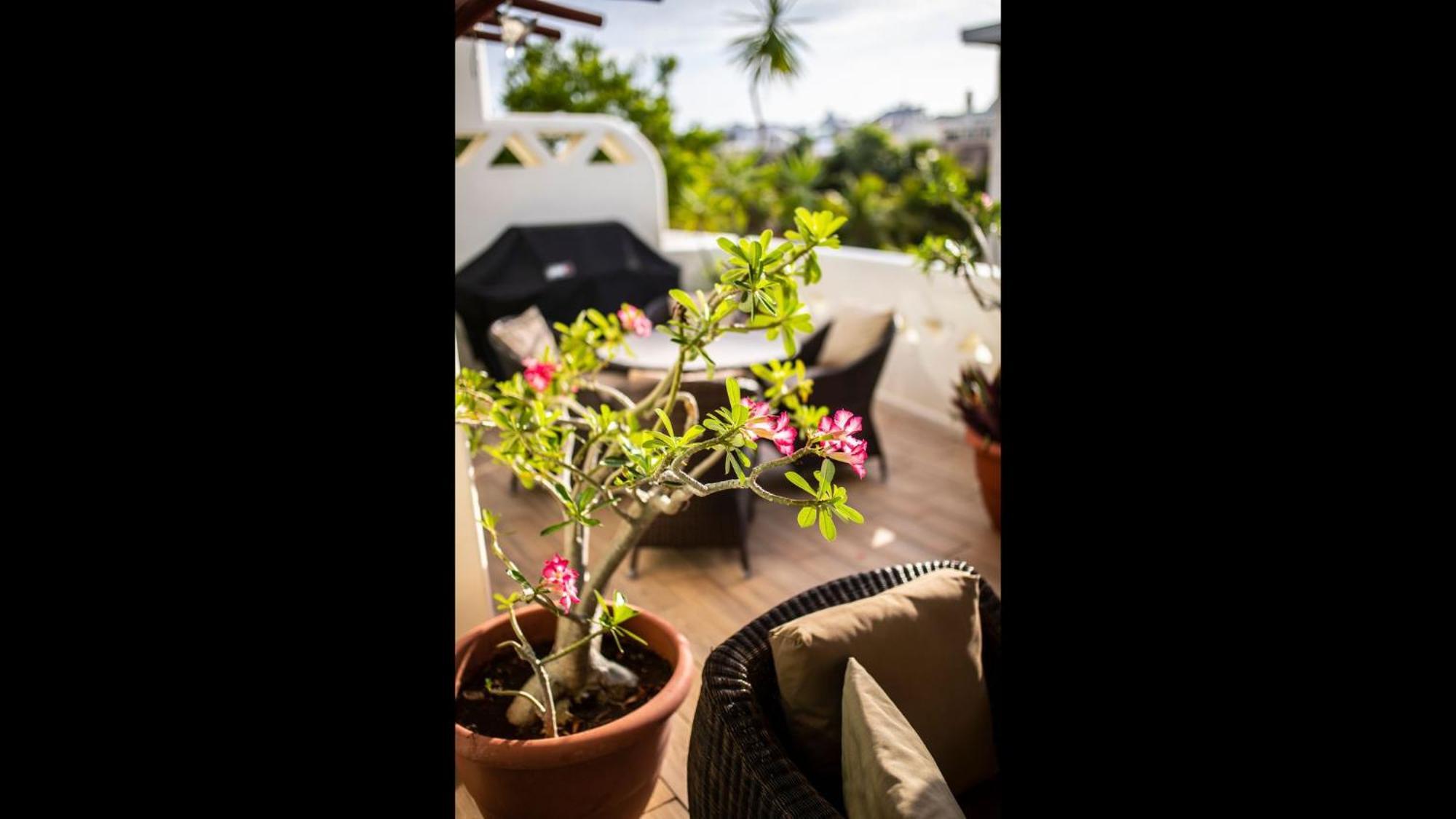 Penthouse At Mamitas Beach, Barbecue, Balcony, Sundeck, Jacuzzi * Playa del Carmen