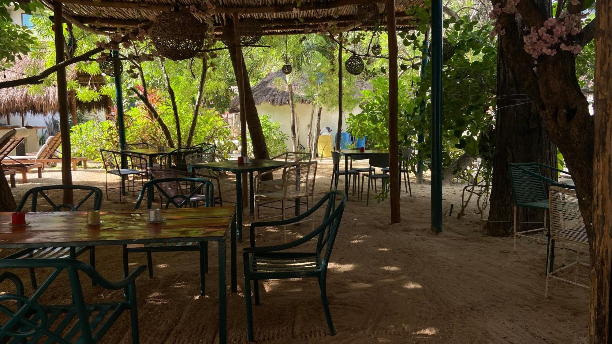 Hotel Nature (adults Only) Playa del Carmen