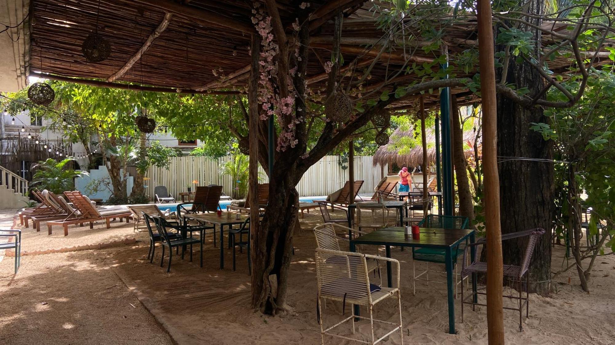 Nature (adults Only) Hotel Playa del Carmen