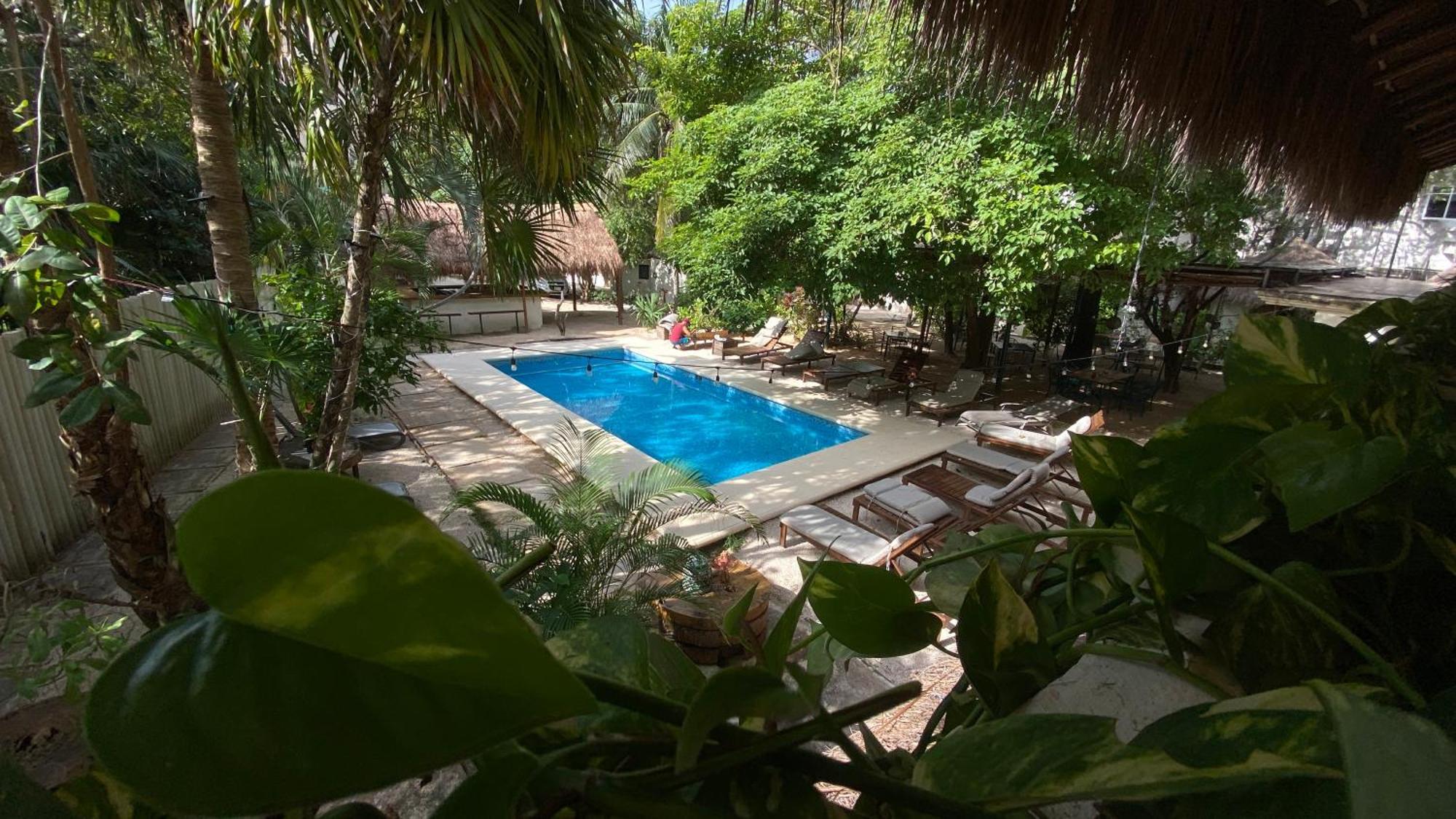 Nature (adults Only) Playa del Carmen