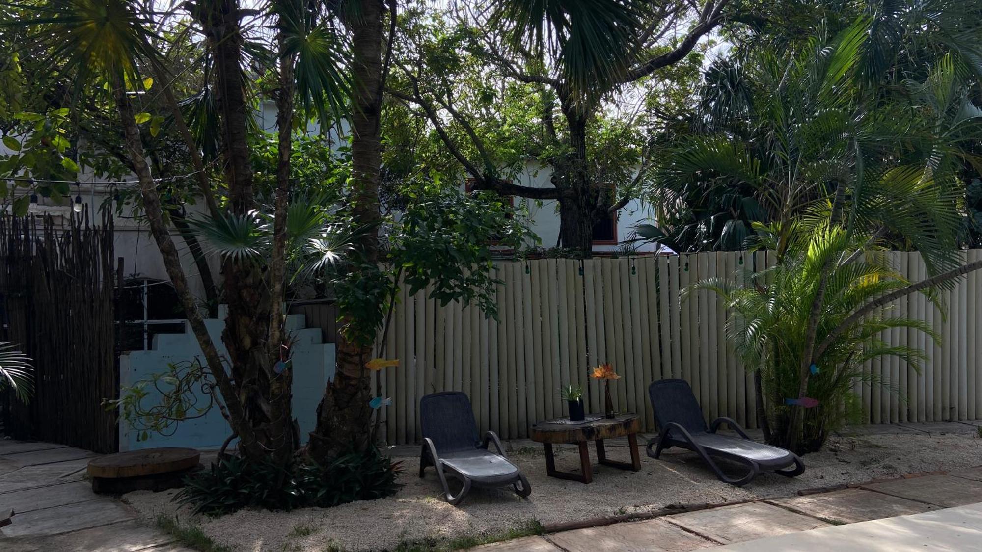 Hotel Nature (adults Only) Playa del Carmen