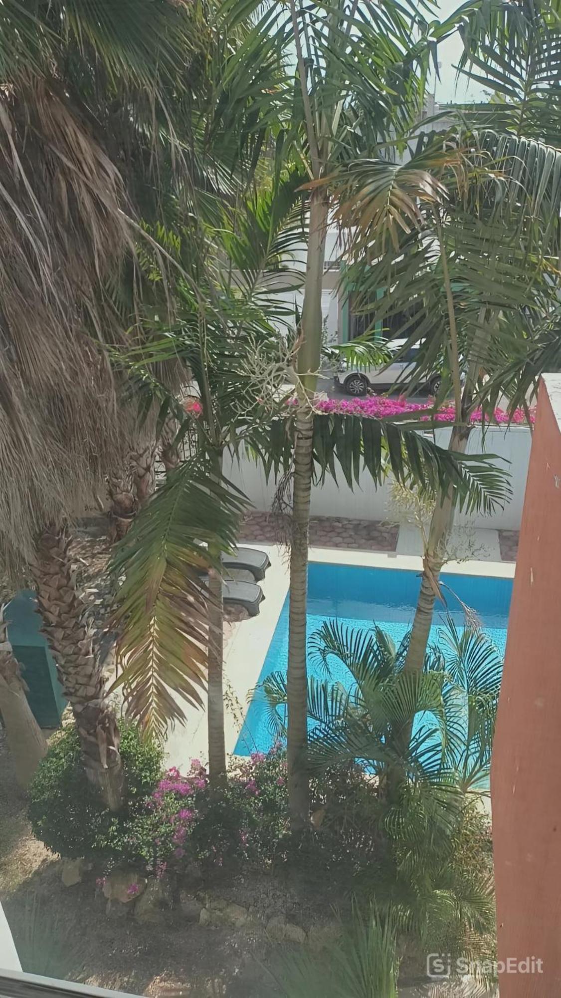 Apartment Playa Zen *