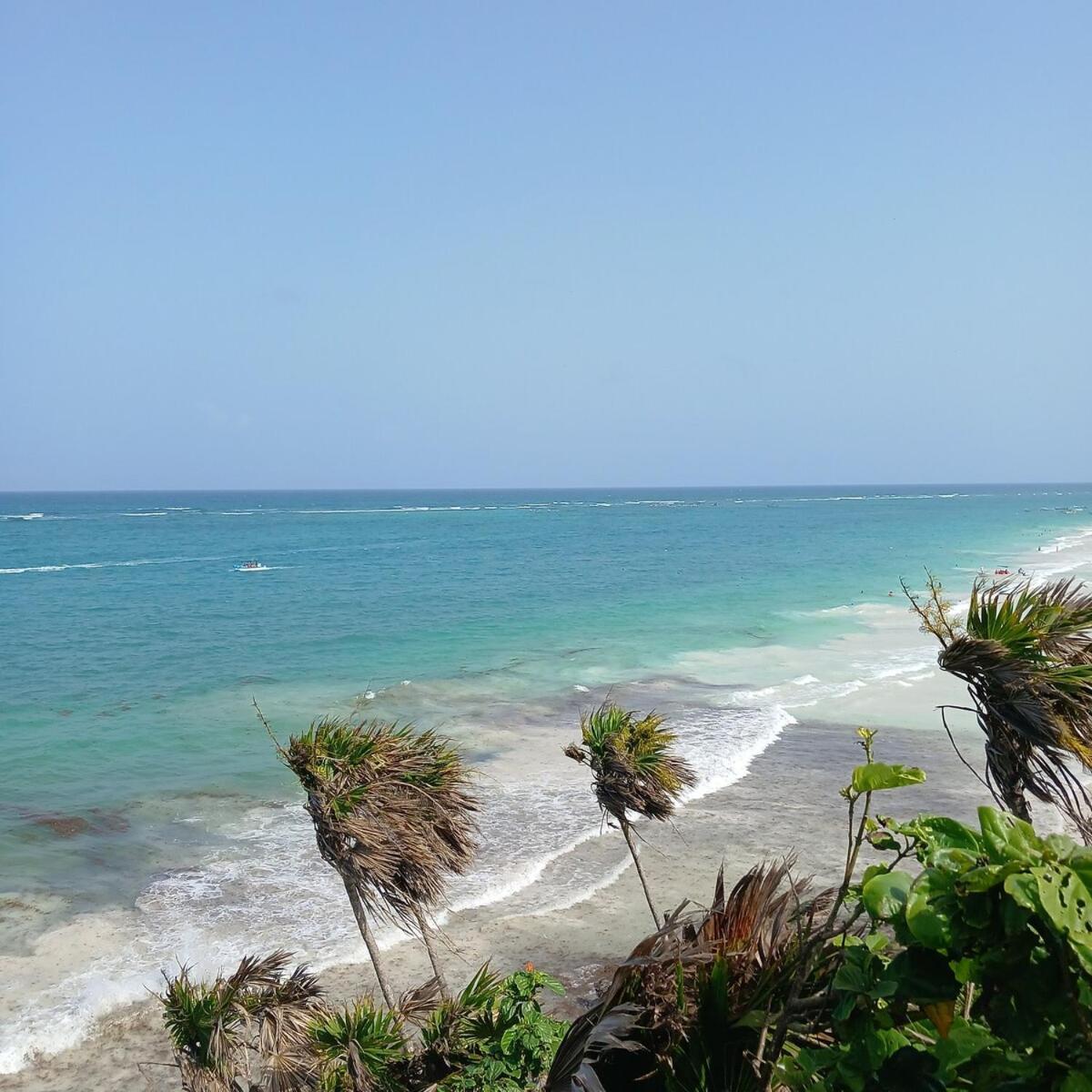 Apartment Cozy En Quintana Roo