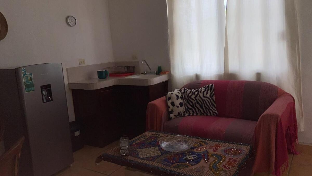 Apartment Charming Very Quiet Center Renewed
