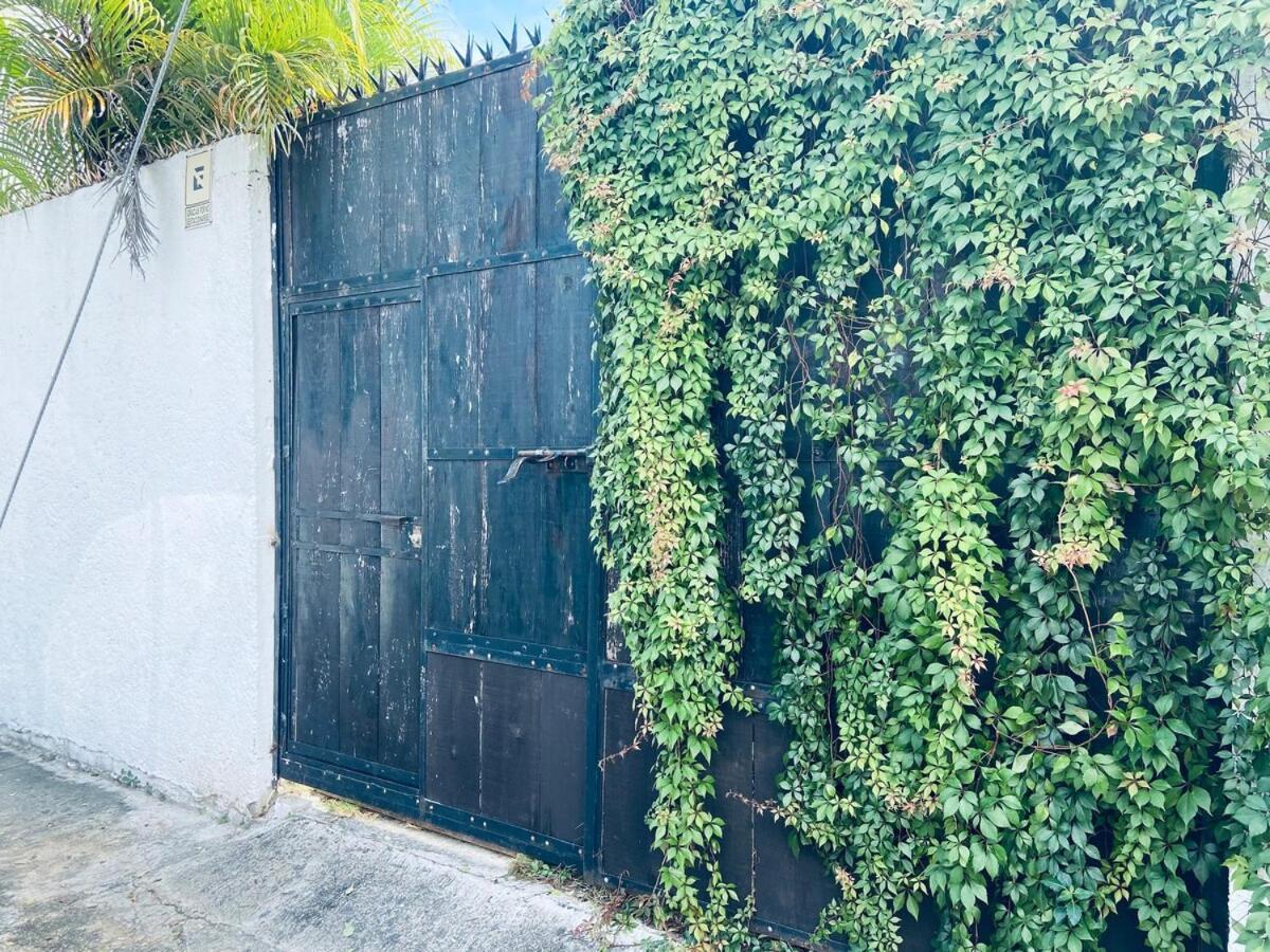 Charming Very Quiet Center Renewed Playa del Carmen