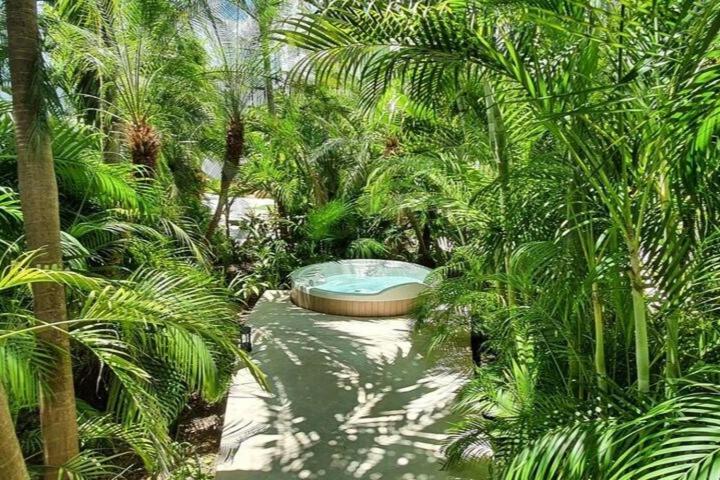 Penthouse Well Located And Wifi 50mb - Downtown Area Apartment Playa del Carmen