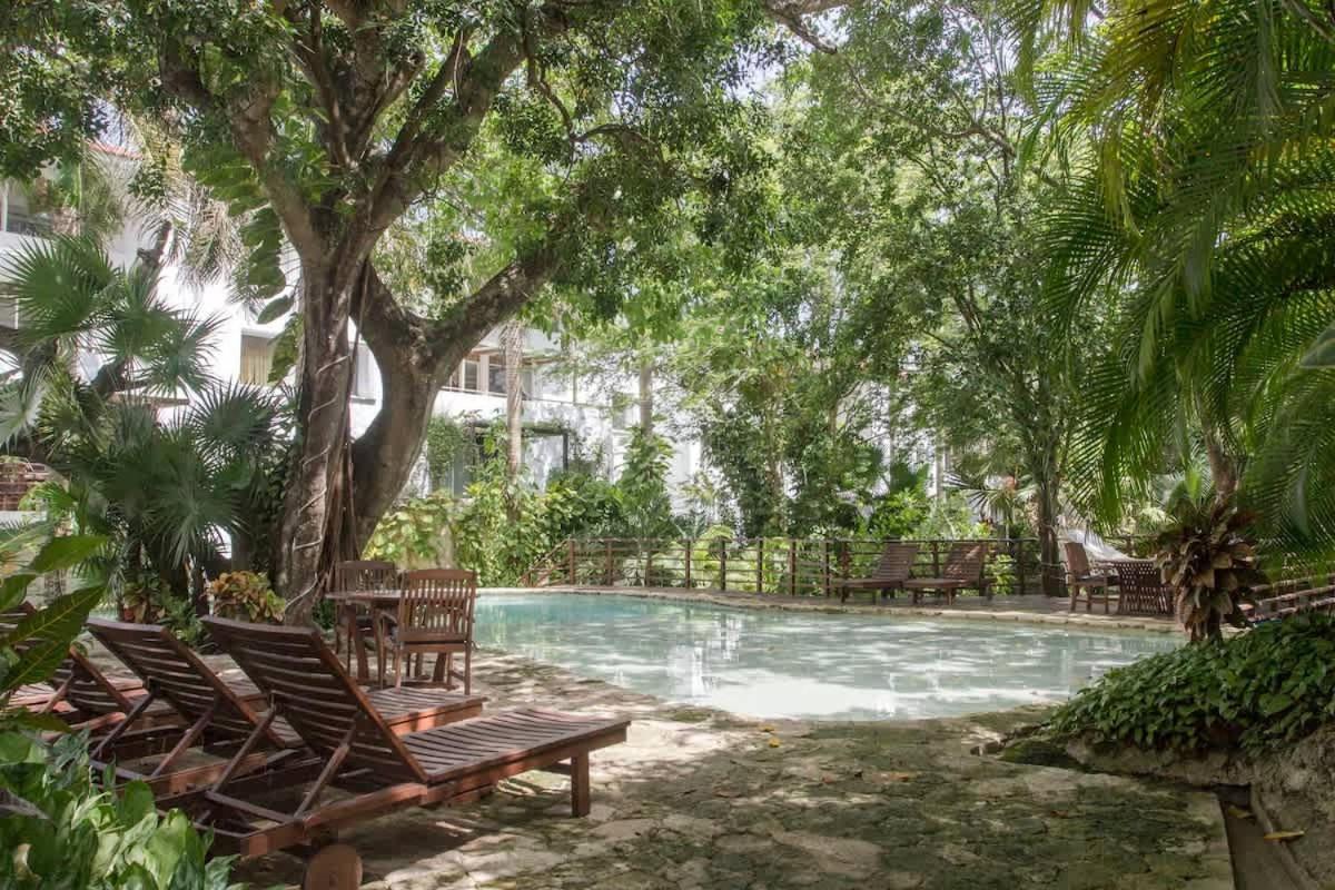 Tropical Oasis With Cenote & Pool Walk To Casa de férias
