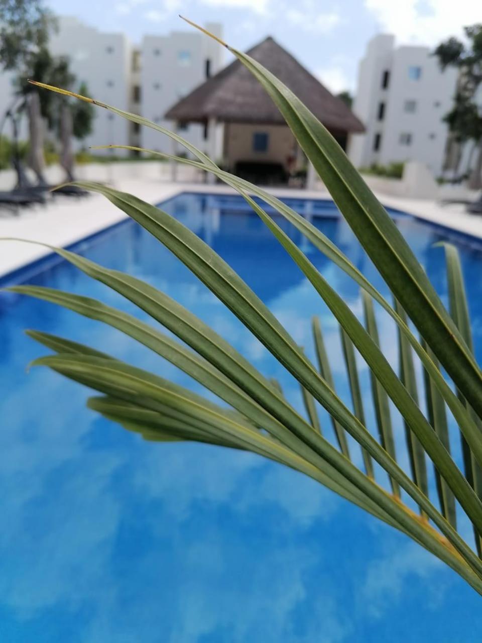 Departamento Itzae Căn hộ