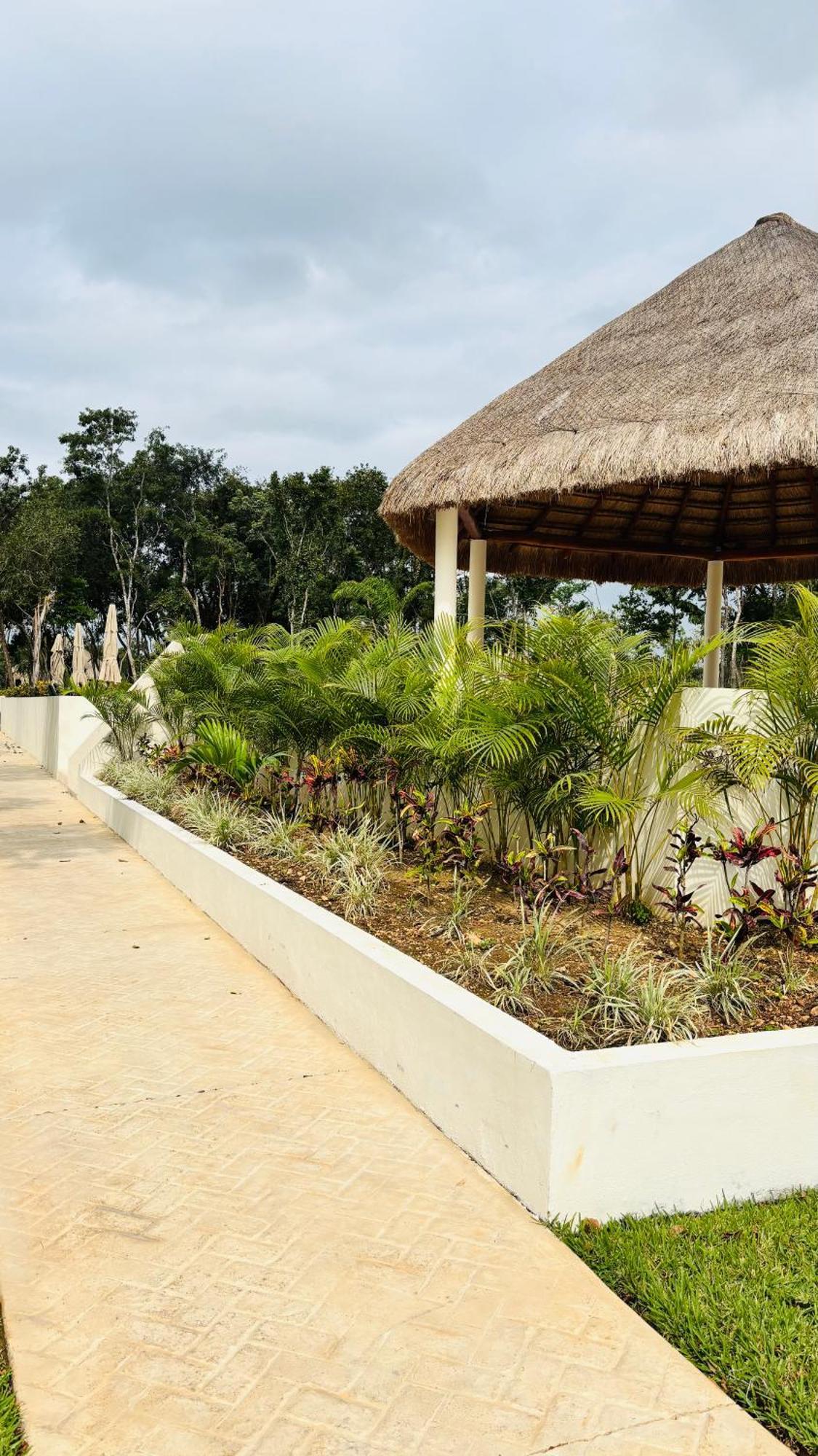 Departamento Itzae Căn hộ