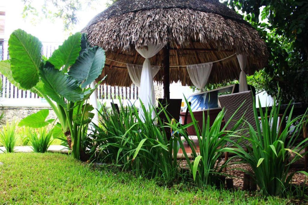 Hotel Maya Del Carmen 2*