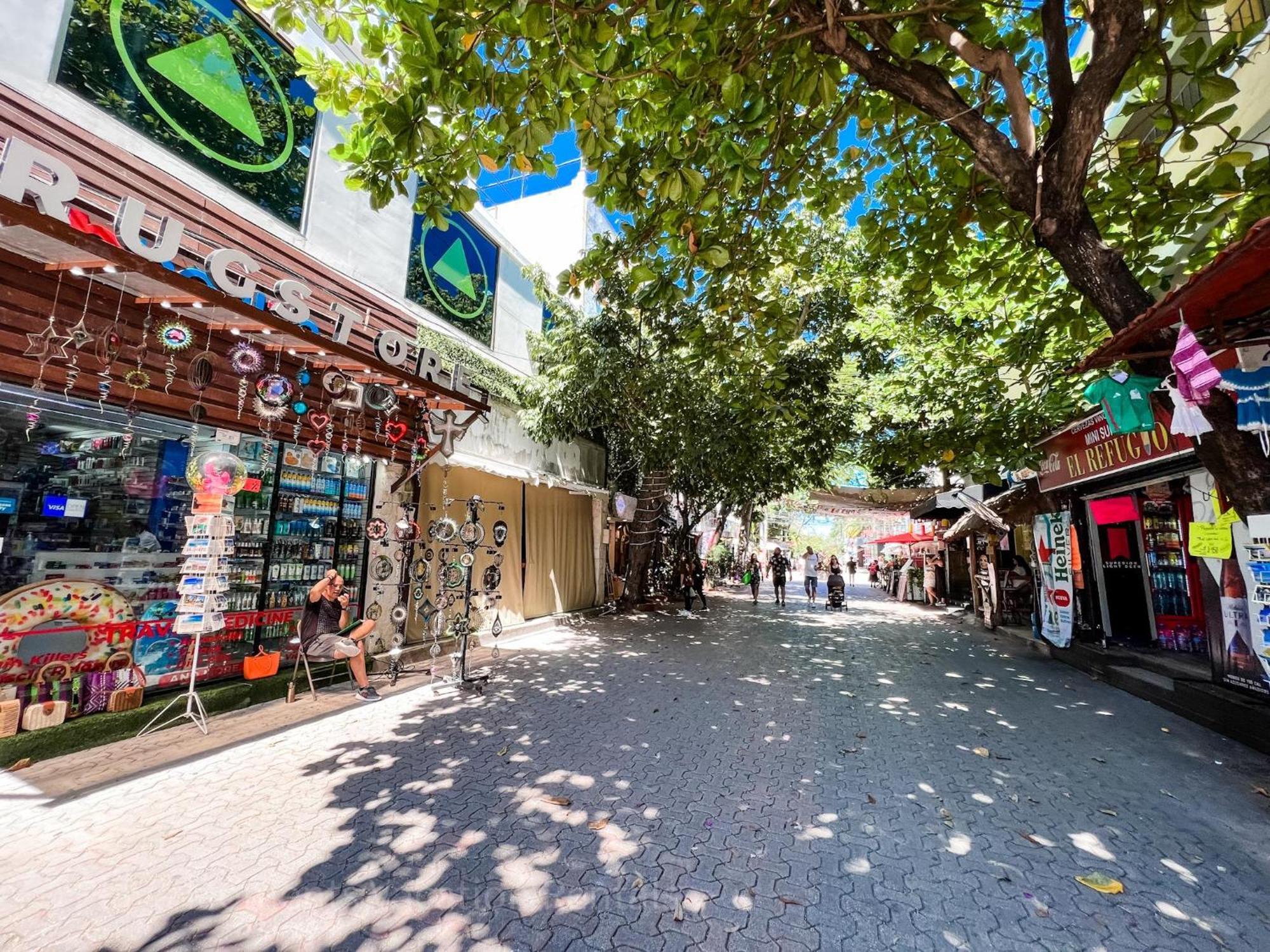 Pura Gorgeous & Trendy 2bedroom Near To 5th Avenue Apartment Playa del Carmen
