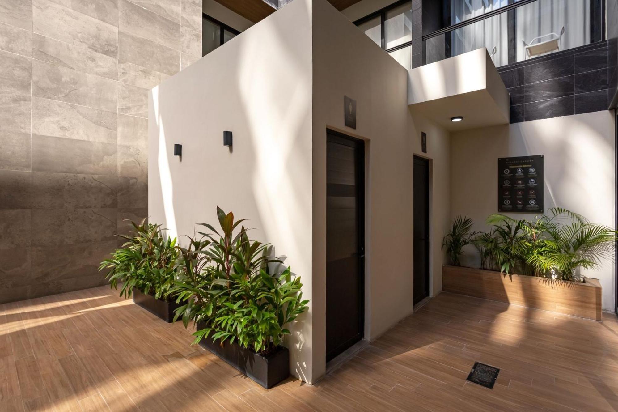 Hermoso Departamento Paraso Tropical En El Corazn De Pdc Apartment Playa del Carmen