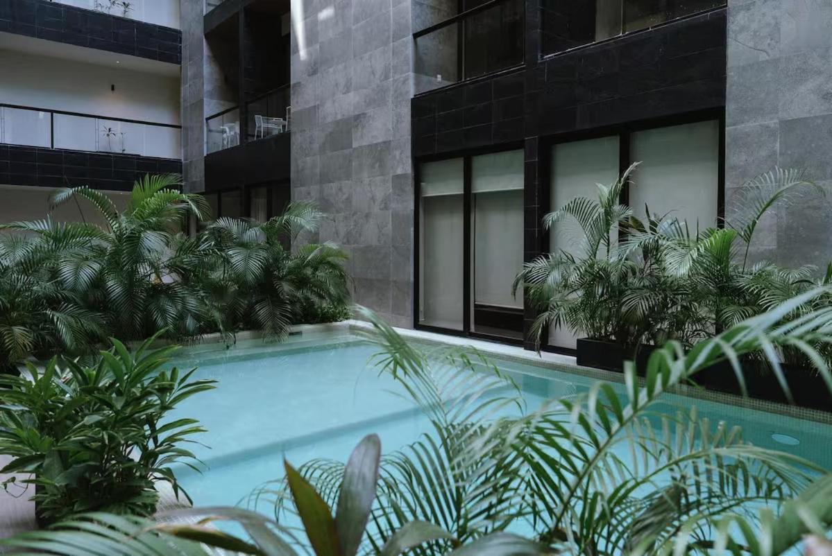 Musa Del Carmen A Luxury In Heart Of *
