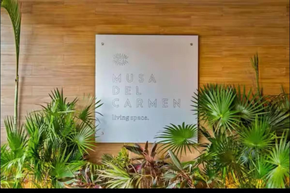 Musa Del Carmen A Luxury In Heart Of * Playa del Carmen