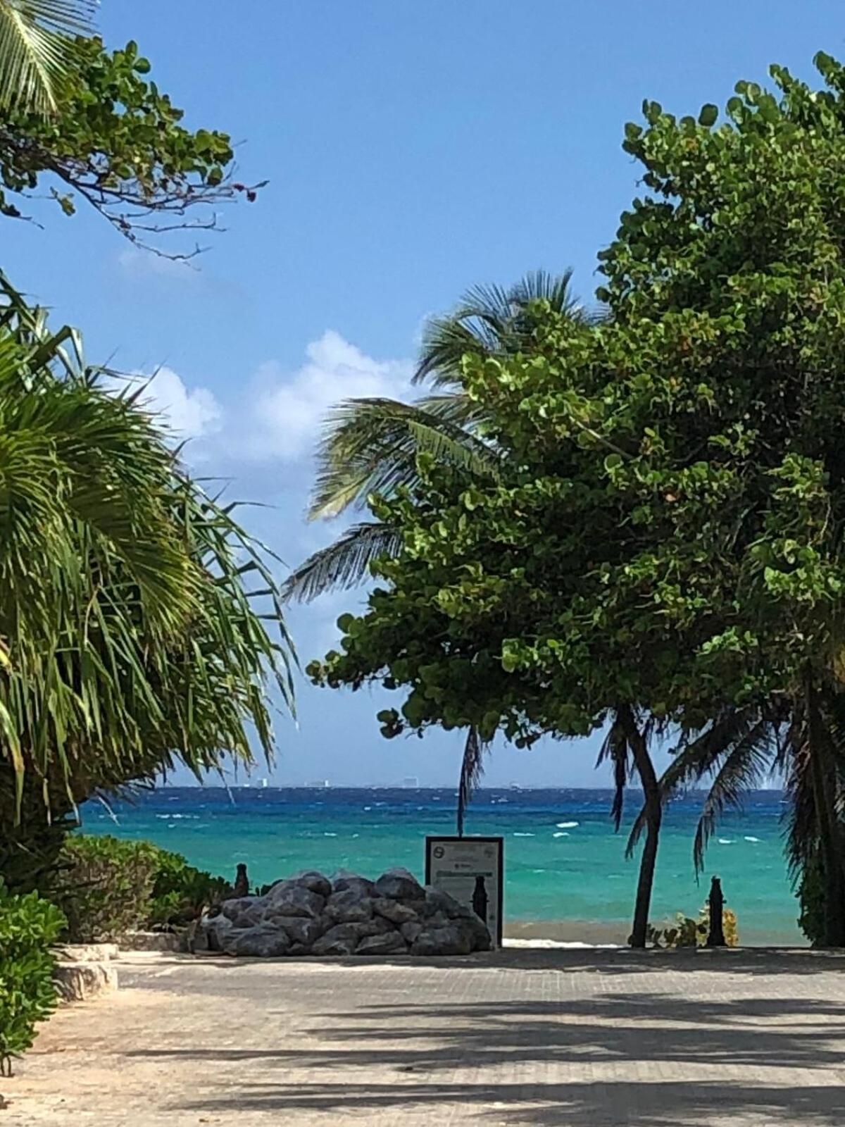 Ocean View Pool In Exclusive Playacar, En-suite Apartment