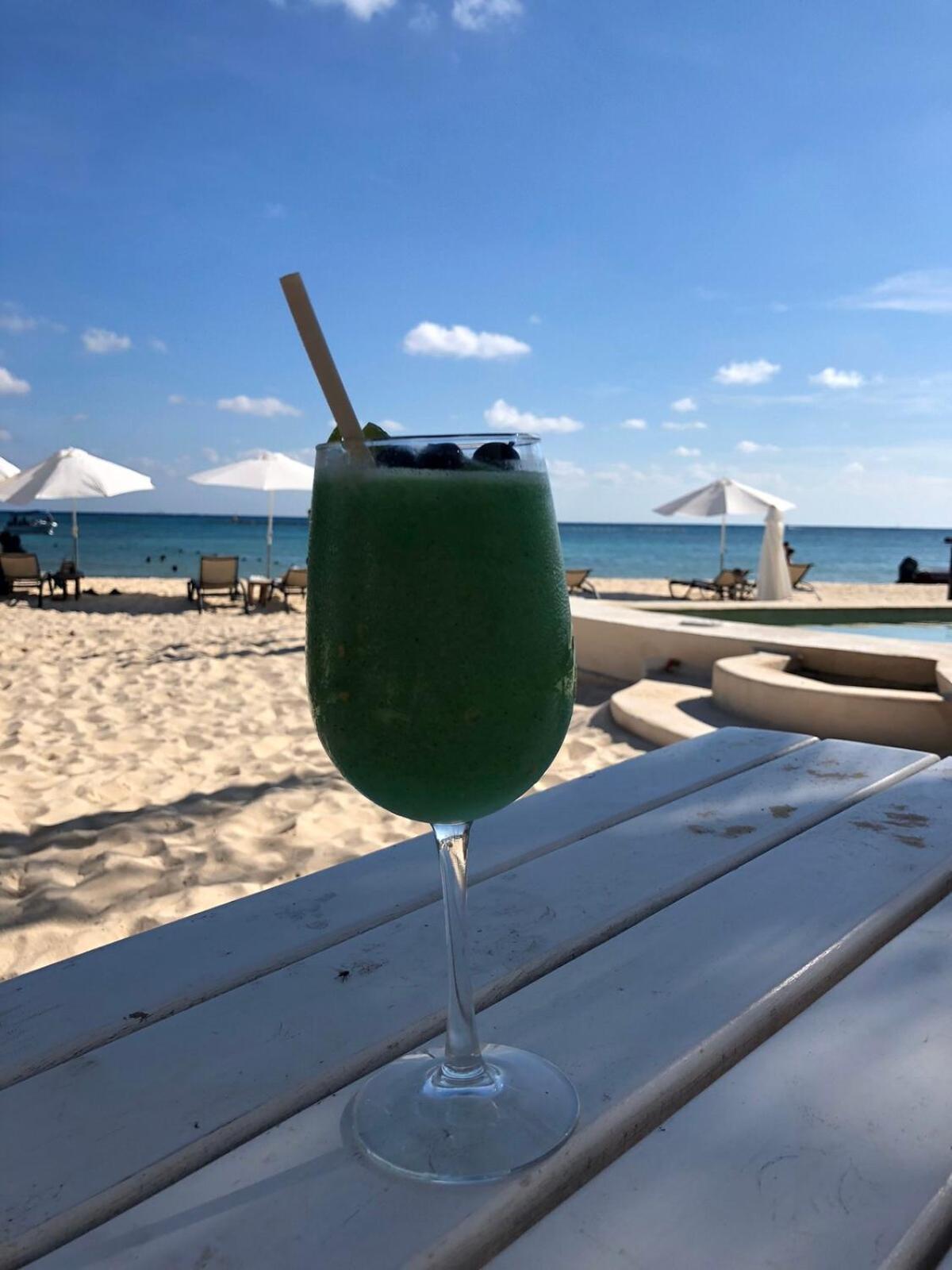 Apartment Ocean View Pool In Exclusive Playacar, En-suite Playa del Carmen