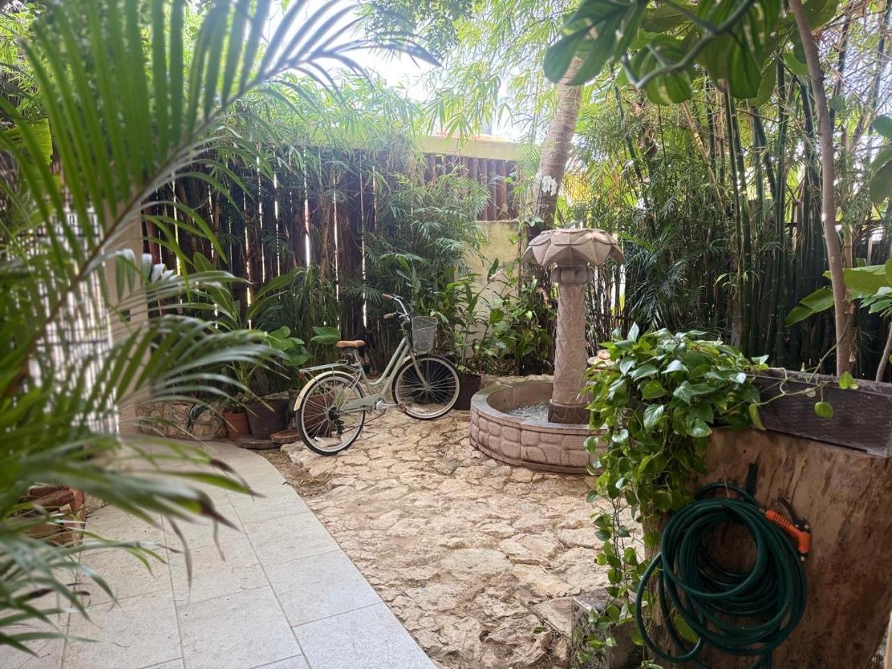 Casa Playita Pdc Căn hộ Playa del Carmen